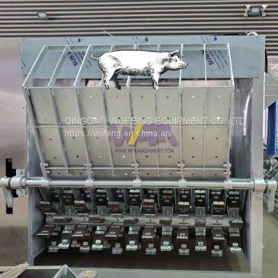 Modern Abattoir Swine Slaughtering Pig Carcass Dehairing Machine For Abattoirs photo-5