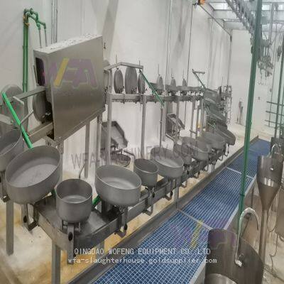 Goat Slaughter Machine Offal Synchronous Quarantine Conveyor For Sheep Slaughterhouse
