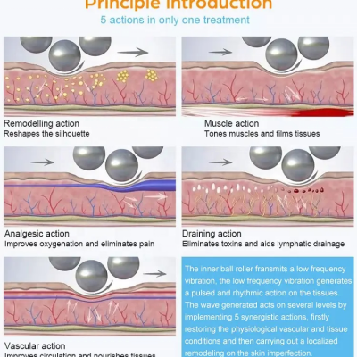 New Vertical Inner Ball Roller Therapy Massager Machine 360 Rotating Endosfera Face and Body Endo Roller Machine photo-3