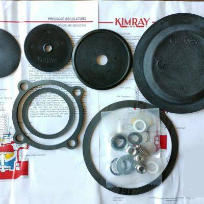 KIMRAY 30HPG Pilot Maintenance Kit R1918 & R0601: Fix Control Valve Leaks & Stabilize Pressure