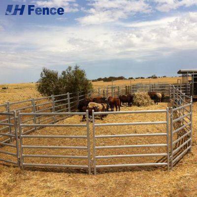 Safe & Secure Cattle Panels: Smooth Snag-Free Design Prevents Animal Injuries for Stress-Free Management