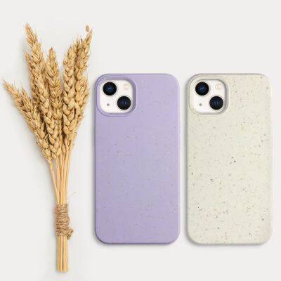 For Samsung Galaxy A71 S23 S24 S22 100% Biodegradable Phone Case With Camera Protection