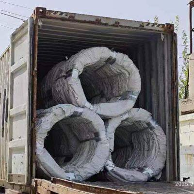 2.5mm Cbt-60 Barbed Concertina Wire Stainless Steel
