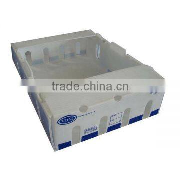 Customized Corrugated Carton Box Outer Carton (XG-CB-033)