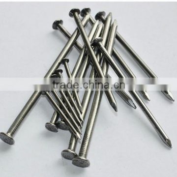 Kuwait Market Wood Nail/Common Wire Nail/Iron Nail