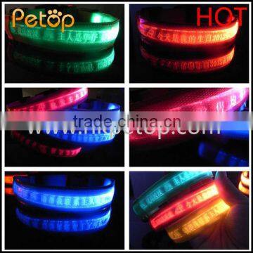 LED pet collar