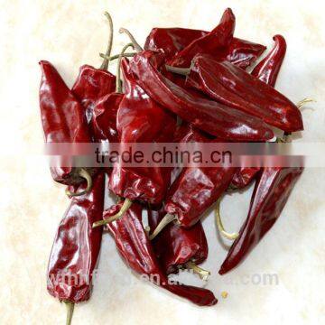 Chinese Dry Red Chili for Wholesale photo-6
