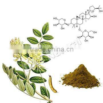 Astragalus Mongholicus Extract Powder