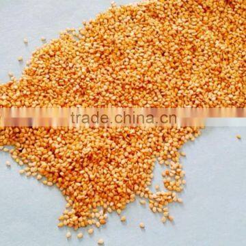 Maiduguri Nigeria white african sesame seed FOB CIF CFR CIP world-wide sales