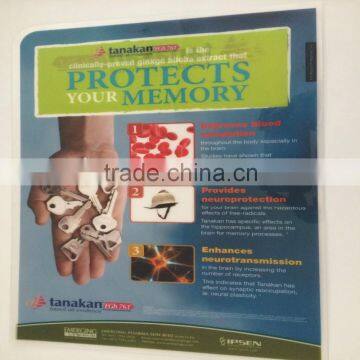 Plastic document file folder