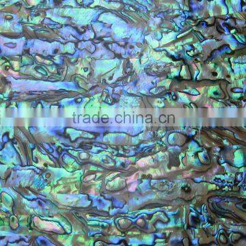 Hot sale abalone shell sheet