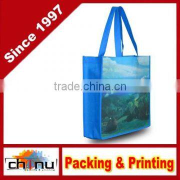 Promotion Shopping Packing Non Woven Bag (920022)