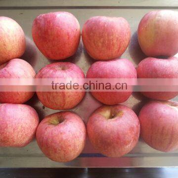 Famous Apples photo-4