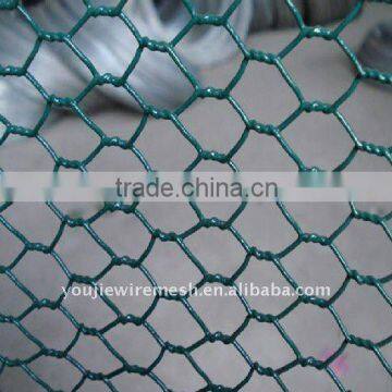 Plastic Coated Hexagonal Wire Mesh