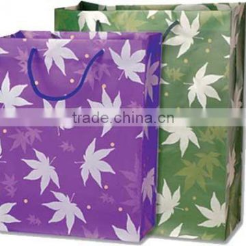 Art paper gift bag