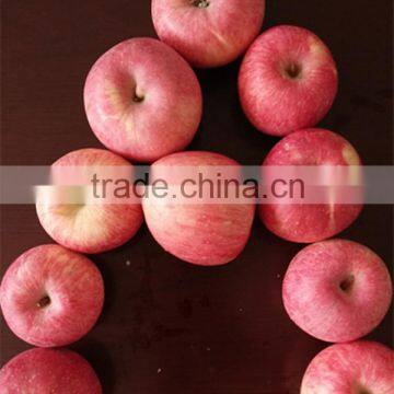 2015 New Year Fresh Fuji Apple Biggest Exporter Chinese Fresh Fruit Red Apple Fuji
