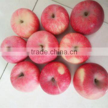 Fresh red Fuji apple