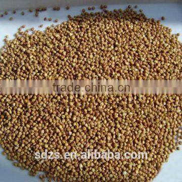 Very Competitive Grain Sorghum Price