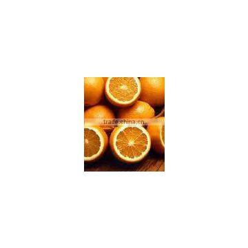 Sweet Orange Oil (BP, EP, USP)
