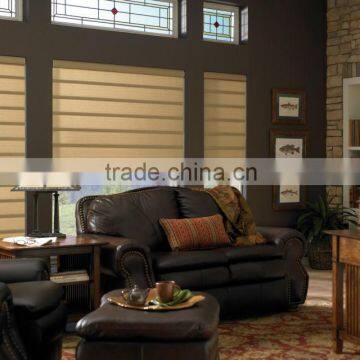 Economic Polyester Fabric Pleated Zebra Blinds