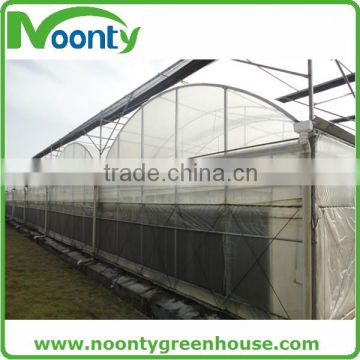 Multi-span Film Greenhouse