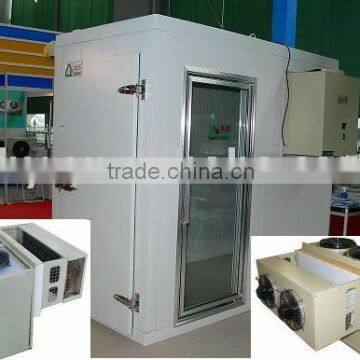 Modular freezer room with Monoblock compressor / modular PU insulation cold room