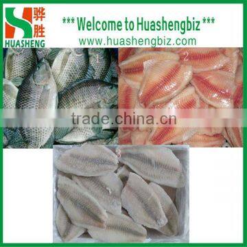 Frozen Tilapia Fillet Price for Sale photo-4