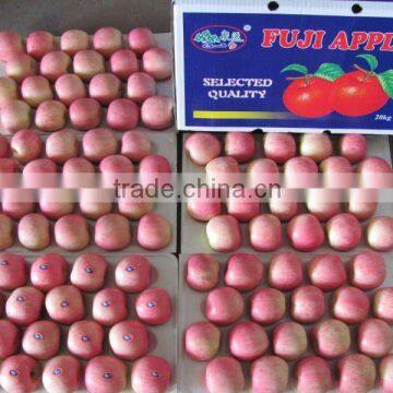 red apple in 20kg cartons