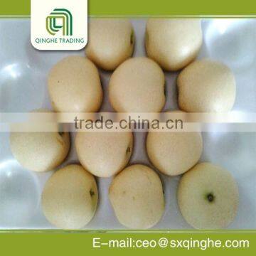 High quality China fresh golden pear for sale