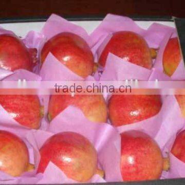 POMEGRANATES VIA EGYPT IN GOLDEN SHAPE @ egypt