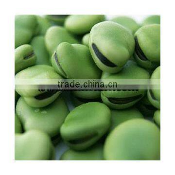 Dry Broad Bean WIth Shell Horse Bean