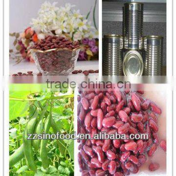 Canned Red Kidney Beans in brine