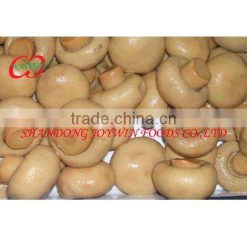 Fresh 2014 new crop whole sale price canned mushroom whole sliced best