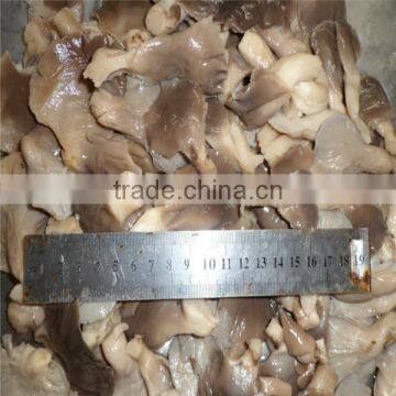 Pleurotus Mushrooms Brine Oyster Mushroom King Oyster Mushroom photo-2