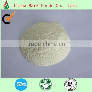 Dehydrated Onion powder