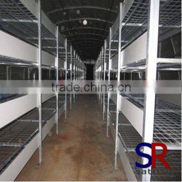 Good quality metal rack for mushroom with best price