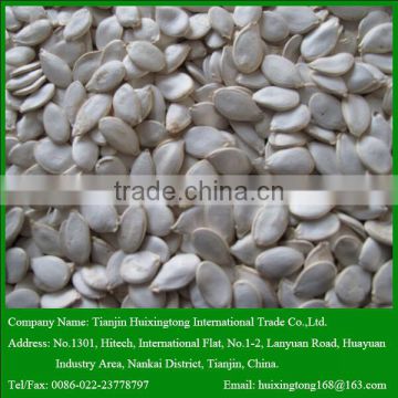 2015 Hot Sale Raw Snow White Pumpkin Seeds for Human Eating