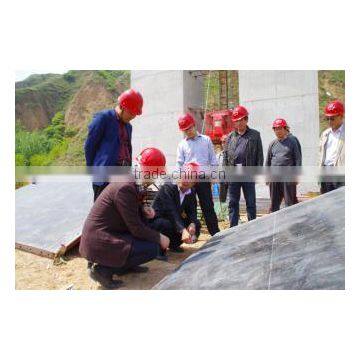 High fluidity hardening accelerator polycarboxylates high performance water-reducing admixture