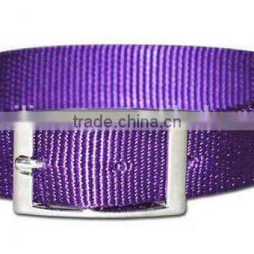 hot selling plain nylon pet collars for training and hunting