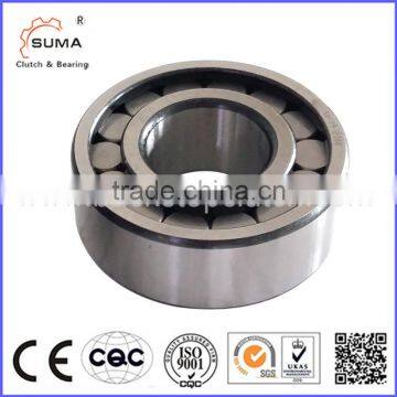 SL192305 High Speed Special Roller Bearing Full Complement Cylindrical Roller Bearing
