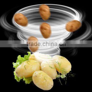 Potato Peeler Machine photo-4
