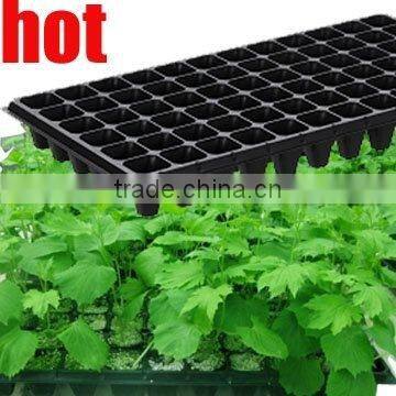 T72 black ps plug tray for seed planting 0.5MM