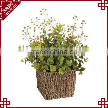 Indoor decoration flower planter natural seagrass woven small plant basket