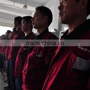 Dehydrated Garlic Accurate Optical Belt Color Sorter Machine With Advanced Software photo-4