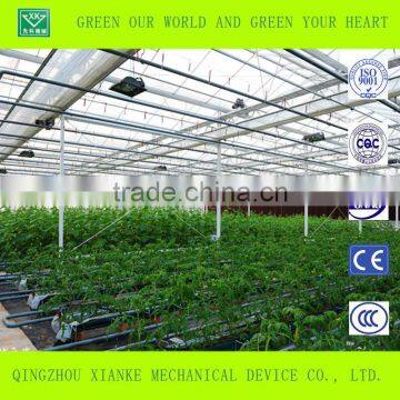 Big Cheep Glass Greenhouse for Seeding photo-5