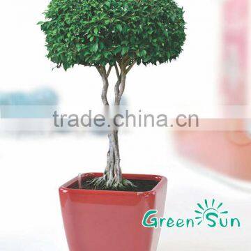 Nursery Pots,planter Pots,hydroponic Systems Flower Pots,plant Pots,self-watering Planter photo-2