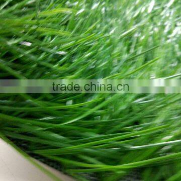 Artificial Grass Carpet/turf Artificial Grass/Artifical Football Mat photo-3