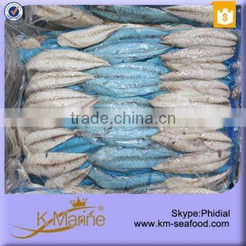 Hot Sale Vacuum Packed Interleaved Frozen Fish Fillets For Sale photo-2