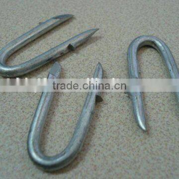 U Type Steel Nails China Supplier photo-5