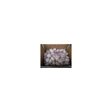 10kg/ctn Normal White Garlic photo-2